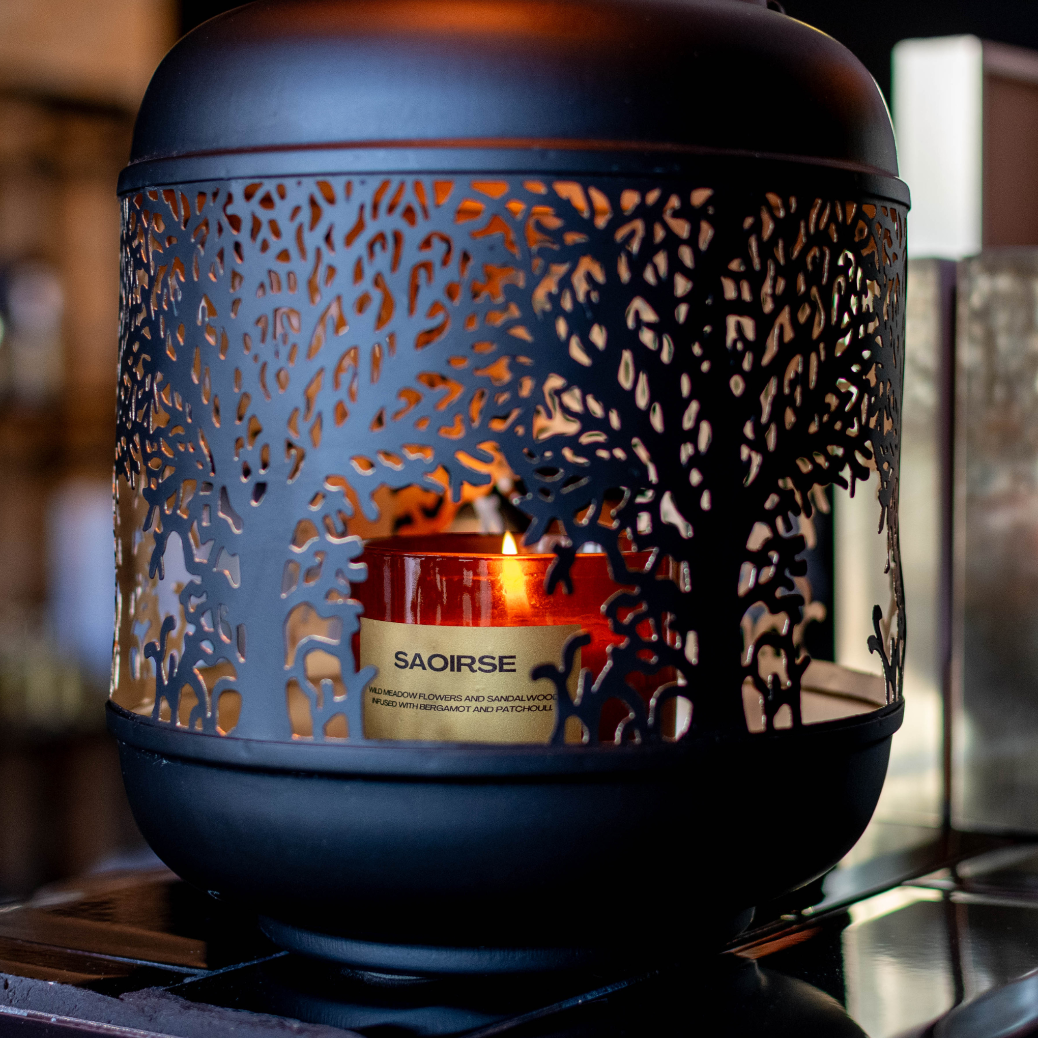 Close-up of FOX & WOLF candles displayed beautifully in the boutique.